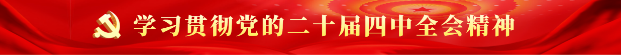 学习贯彻党的二十届四中全会精神
